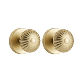 NCSEN Gold Interior Door Knobs, Heavy Duty Door Knob Door Handles for Closet, Seashell Dummy Knobs