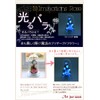Art Four Seasons ○ Rose Eye "Glowing Rose" Firefly Pink