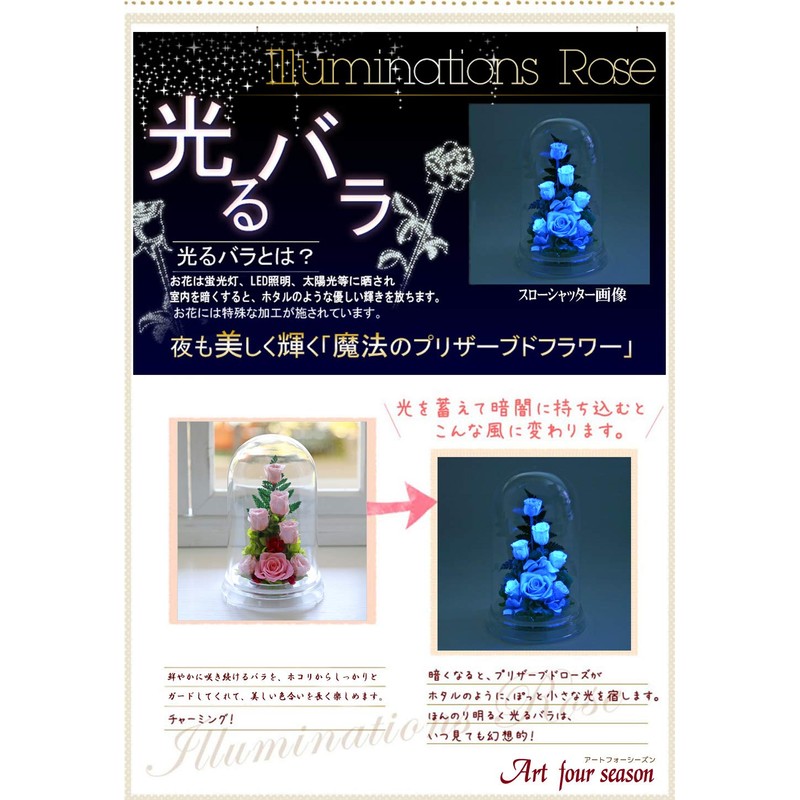 Art Four Seasons ○ Rose Eye "Glowing Rose" Firefly Pink