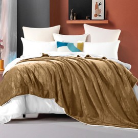 Elegant Comfort Ultra Soft Reversible Flannel Sherpa Blanket - Cozy Silky Fleece Throw for Couch, Bed - Plush Fuzzy Warm Winter Blanket for Gift, Twin, Taupe