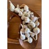 Fresh 1LB of Garlic to Plant or Cook with ~Fresh