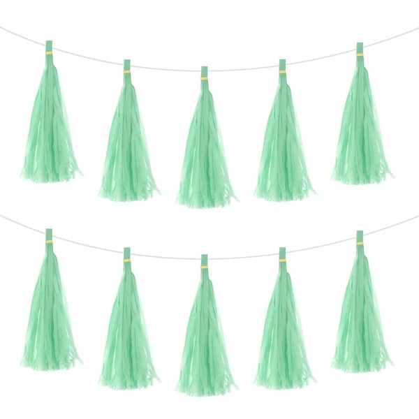 MECCANIXITY 15Pcs Light Green Tassel Garland Banner with Rope Tissue