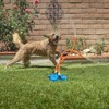 The Wave - The Ultimate Interactive Water Toy for Dogs