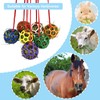 MeiAOBest Horse Treat Ball Hay Feeder Toy,Hanging Pet Hay Feeding