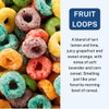 CE CRAFT Car Air Freshener Diffuser, Fruit Loops, 2 Pack