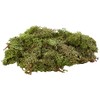 Glorex Iceland Moss, 50 G, Dark Green 7610877290294