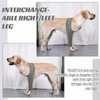 ROZKITCH Dog Surgery Recovery Sleeve Front Right Left Leg, Pet