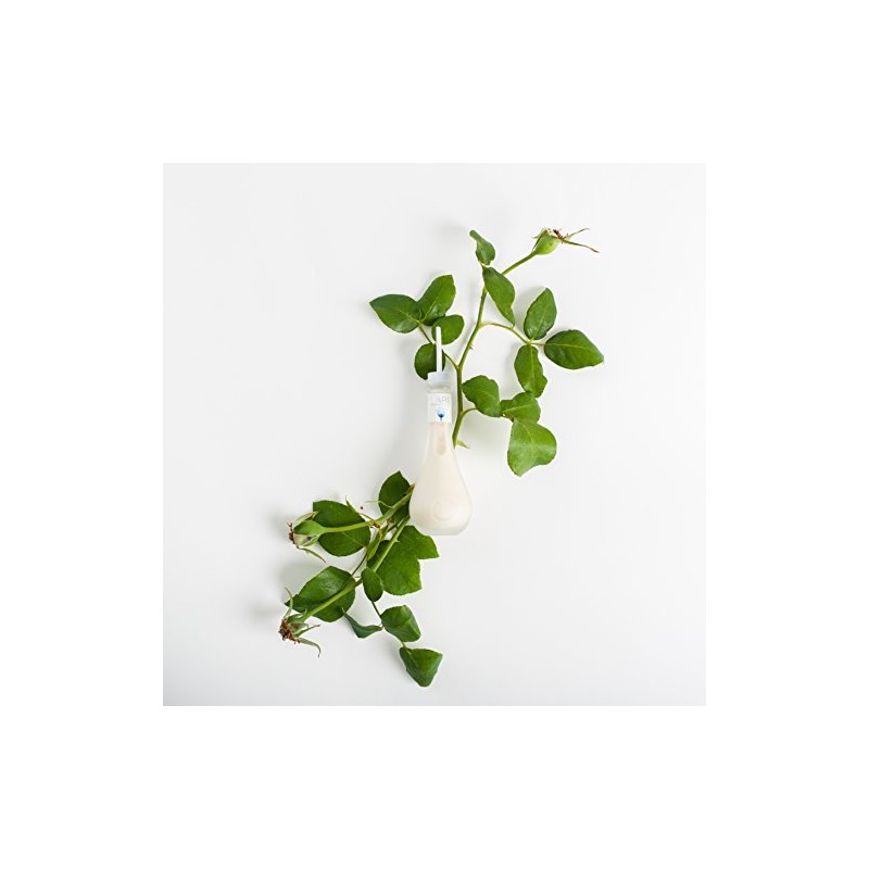 Soothe Serum for DrySensitive Skin