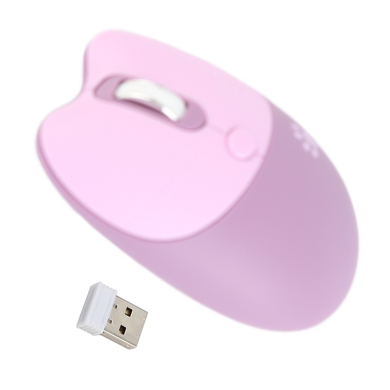 Wireless Mouse BT5.1 Or 2.4GHz Silent Click Adjustable DPI Auto