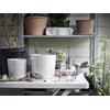 Ikea Plant Mister, Clear Glass 25Cl