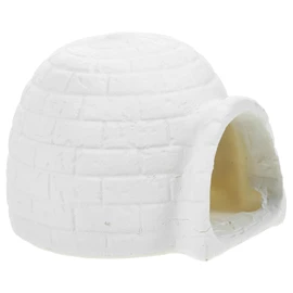 Gadpiparty Standing Ice House Model Ice House Cognitive Model Craft Boys and Girls Plaything Resin