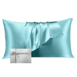 LINENOVA 100% Mulberry Silk Pillowcase for Hair and Skin, Both Sides 22 Momme Silk Queen Pillow Cover, Smooth Breathable Haze Blue Pillow Case with Hidden Zipper, Gifts for Women 1 Pack(50 * 75cm)
