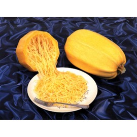 Spaghetti Winter Squash Seeds