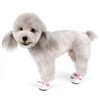 Zunea Small Dog Shoes for Hot Pavement Summer Breathable Mesh