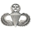 Army Master Parachute Badge Full Size Sil/Ox