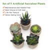 Coitak Artificial Succulent Plants Potted, Assorted Decorative Faux Succulent Potted
