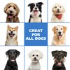 Wahl USA Pet Friendly Waterless No Rinse Shampoo for Animals