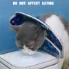 Collar for Cats and Dogs, Adjustable Collar, Soft Cone Recovery
