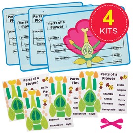 Baker Ross FN459 Flower Parts Biology Kits - Pack of 4, STEM, Science, Maths and Learning Aids for Kids and Schools