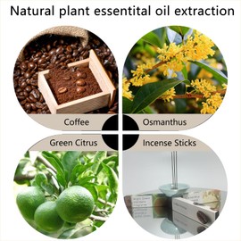 Aromatherapy Incense Sticks Trio Set - 3 Scented Boxes (Osmanthus, Green Citrus, Coffee) Natural Ingredients Essential Oil for Yoga & Meditation Mind Spirit Ritualistic Positive Vibes Relaxation