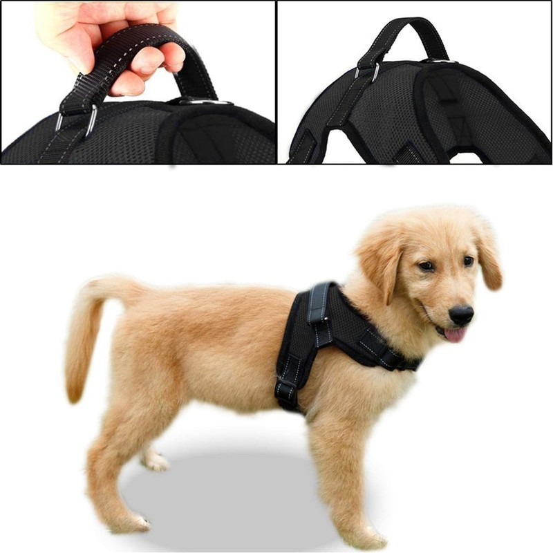 Copatchy No Pull Reflective Adjustable Dog Harness With Handle- Comfortable