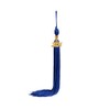 SAMDEEMI Graduation Tassel with 2024 Gold Year Charm for Graduation