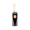 MYCHUS Windproof Lighter, Cool, Cute Cat Paw Design, Fillable, Adjustable,