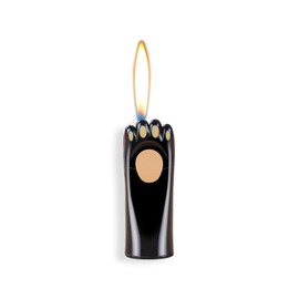 MYCHUS Windproof Lighter, Cool, Cute Cat Paw Design, Fillable, Adjustable, Butane Lighter, Gift for Men（No Gas）