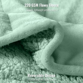 Uttermara Weighted Blanket Queen Size 15lbs 60x80 inches with Soft Plush Fleece, Cozy Warm Sherpa Snuggle Thick Heavy Blanket Great for Sleep and Calming, Sage Green