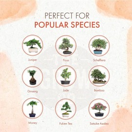 8oz Bonsai Fertilizer Liquid - Organic Bonsai Food Liquid Fertilizer for Long Term Health - Gentle Plant Food for Indoor and Outdoor Use, Promotes Robust Growth, Strong Stems and Beautiful Blooms