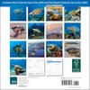 2026 Sea Turtles Mini Wall Calendar 7" x 7"