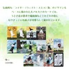 The Rabbit Tarot with Japanese Instructions (English Language Not Guaranteed)