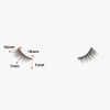 Lavi Lashes False Eyelashes Cat Eye Half Corner Lash False