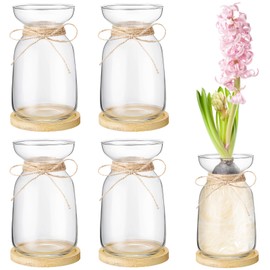 FoldTier 4 Sets Hyacinth Glass Vase with Bamboo Coaster Rope Hyacinth Avocado Growing Bud Vase Decorative Glass Flower Vases for Centerpieces Bulb Forcing Plant Containers Home Office Table Decoration