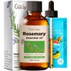 Gya Labs Rosemary Oil for Hair (4 fl oz) &