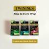 Twinings Ceylon Tea | Lively, Crisp & Refreshing Black Tea