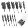 12Pcs Stainless Steel Bore Brush Set with 1/4" Hex Shank