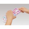 Skater TACC2AG-A Children's Antibacterial Slide Trio Set Lunch Chopsticks Spoon