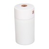 300ml Small Cool Mist Humidifier Portable Desktop Mini Humidifier with
