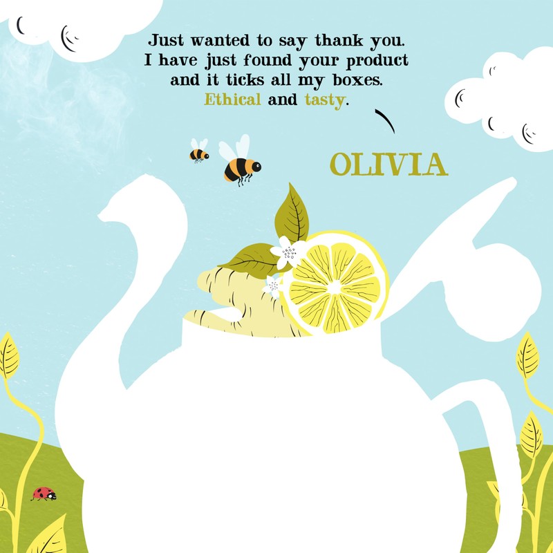 (3 PACK) - Clipper - Organic Lemon & Ginger |