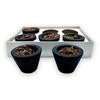 Charcoal Cups with 5g Incense Resin - Protection and Harmony