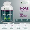 Astragalus Capsules 5,000 mg - 250 Capsules, 8+ Month Supply