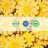 Pineapple Powder - 16 oz | 100% Natural Pineapple Powder