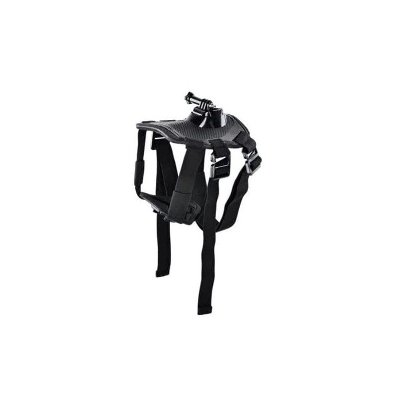 Dog Mount for Insta360 X5 / X4 / X3 /