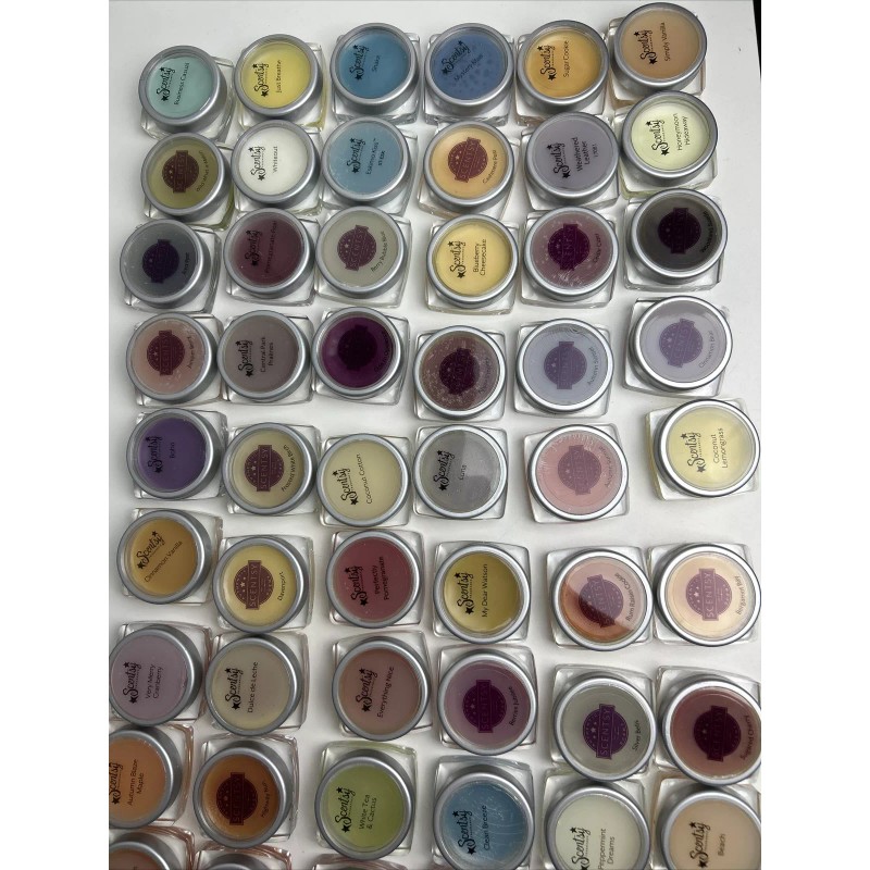 Scentsy Testers (10 Random Testers) Assorted Scents Mini Samples Testers