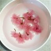 Salted Sakura Cha Preserved Flower Tea Pink Cherry Blossoms Japanese