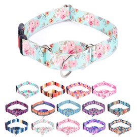 Moonpet Martingale Collar for Dogs - Adjustable, Soft, Durable - Small, Multicolor, Floral - No Pull, No Slip - Safety Buckle - Martingale Design, Adjustable Length