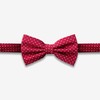 GoTie Men's Dotted Bowtie - Bow Ties Ready to Wear