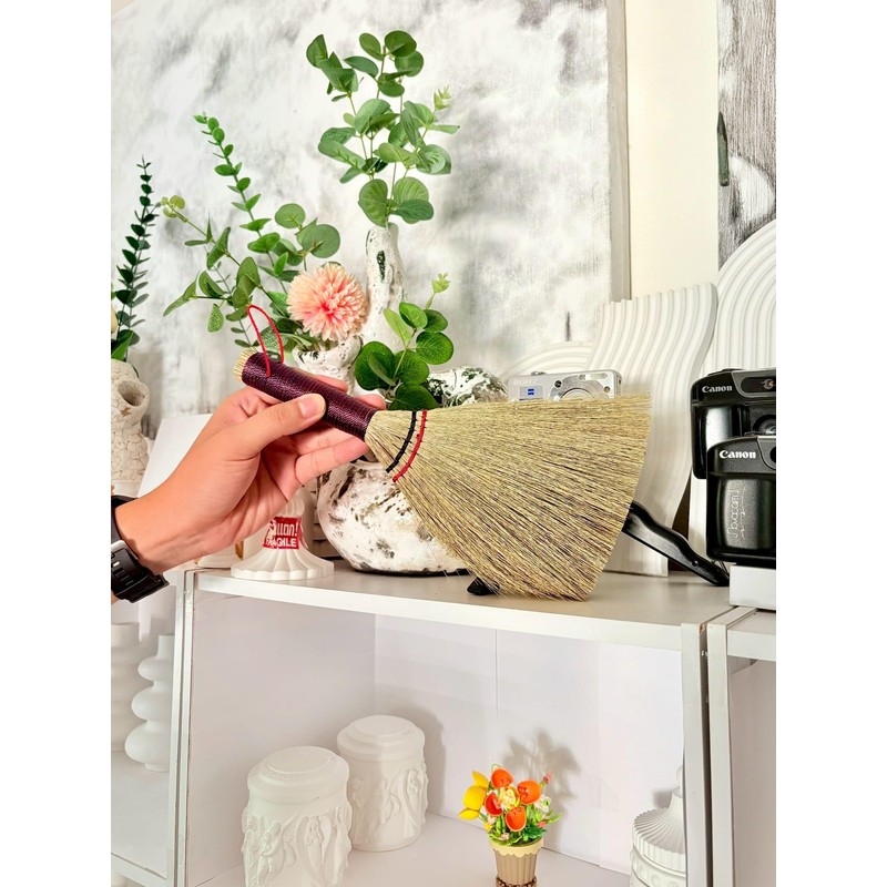 Small Wisk Brush Broom -Whisk Broom Handheld Brush Whisks Away