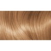 L'Oréal Paris Excellence Creme, 7.3 Dark Golden Blonde (100 percent